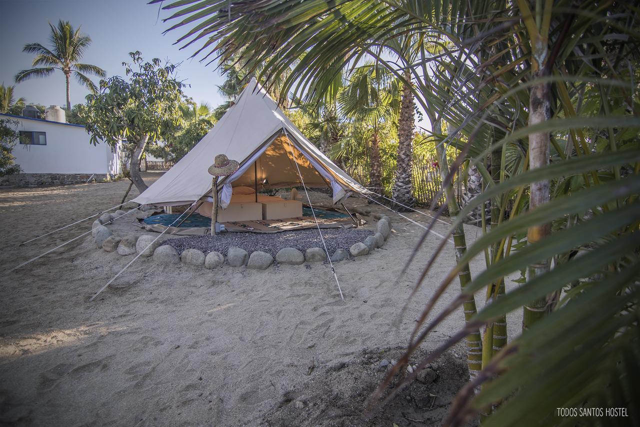 Super Fast And Stable Satellite Wifi * Todos Santos