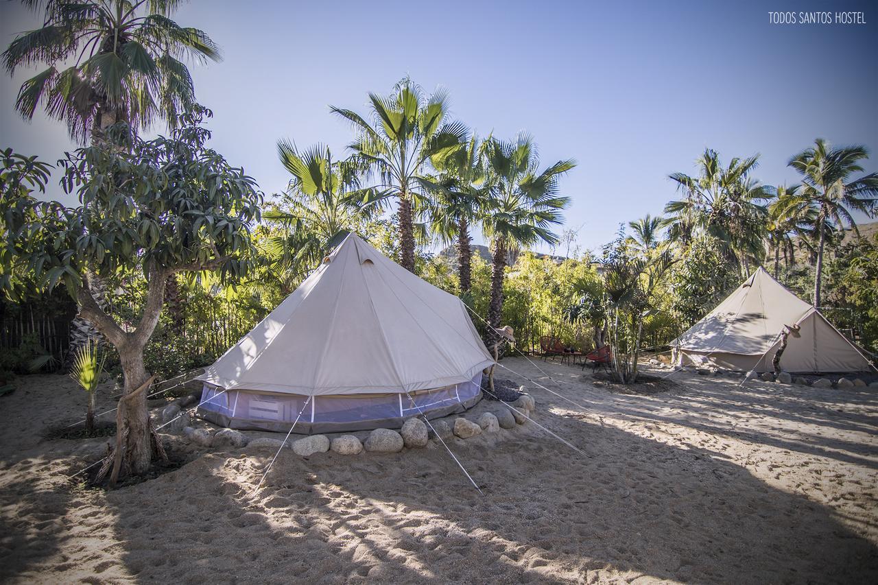 Hostel Super Fast And Stable Satellite Wifi Todos Santos