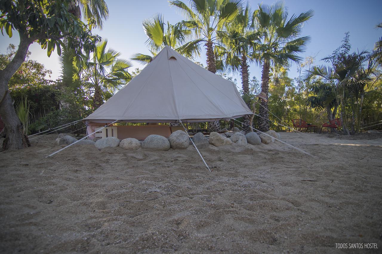 Hostel Super Fast And Stable Satellite Wifi Todos Santos