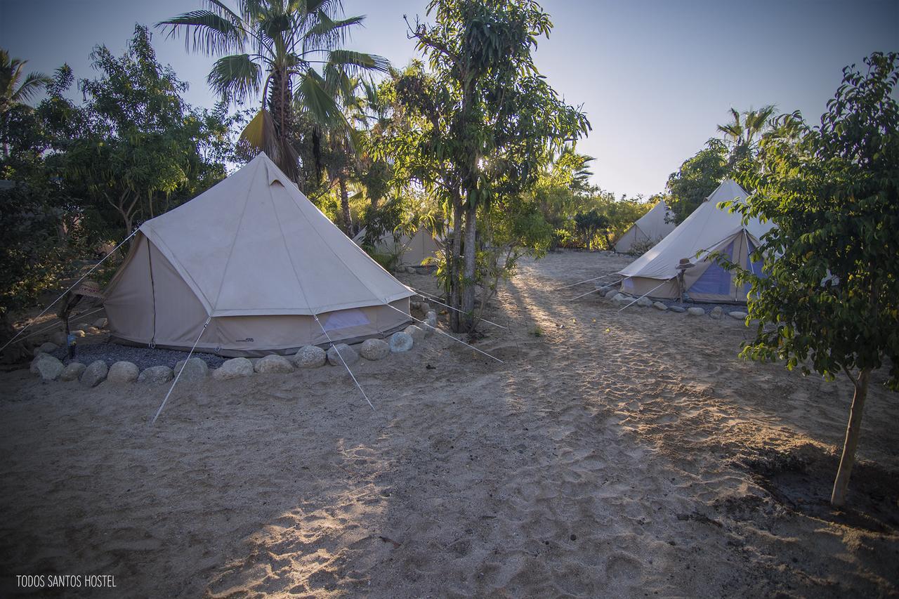 Super Fast And Stable Satellite Wifi Todos Santos